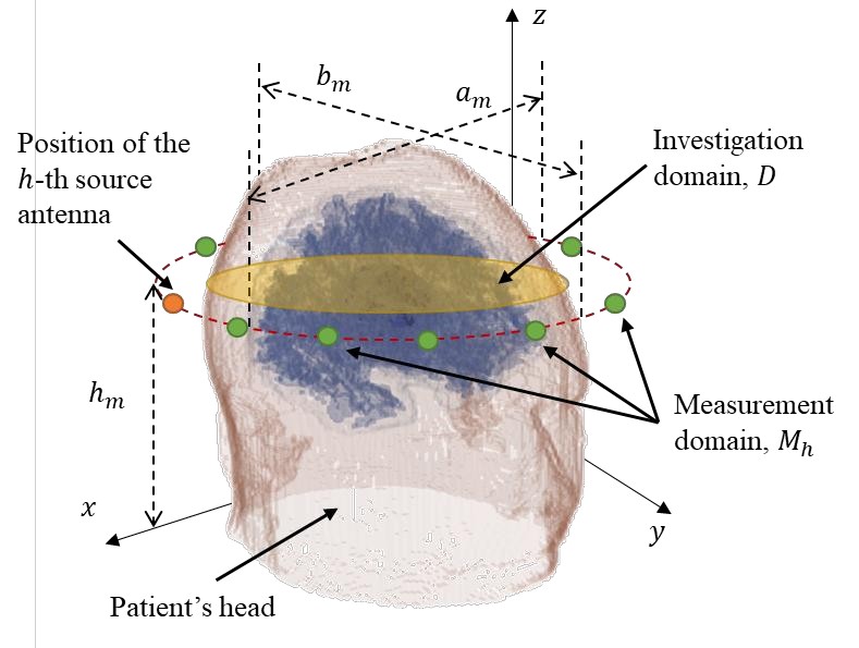 Voxel head model encircled by the source and measurement antenna positions